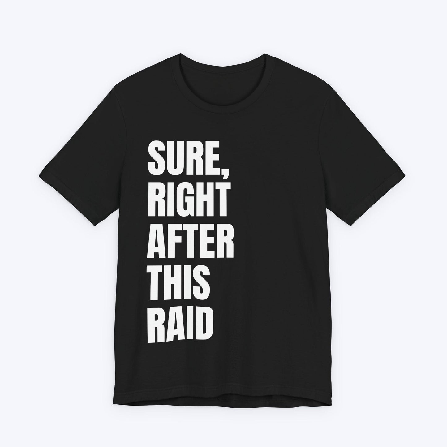T-Shirt Black / S Right After This Raid T-shirt