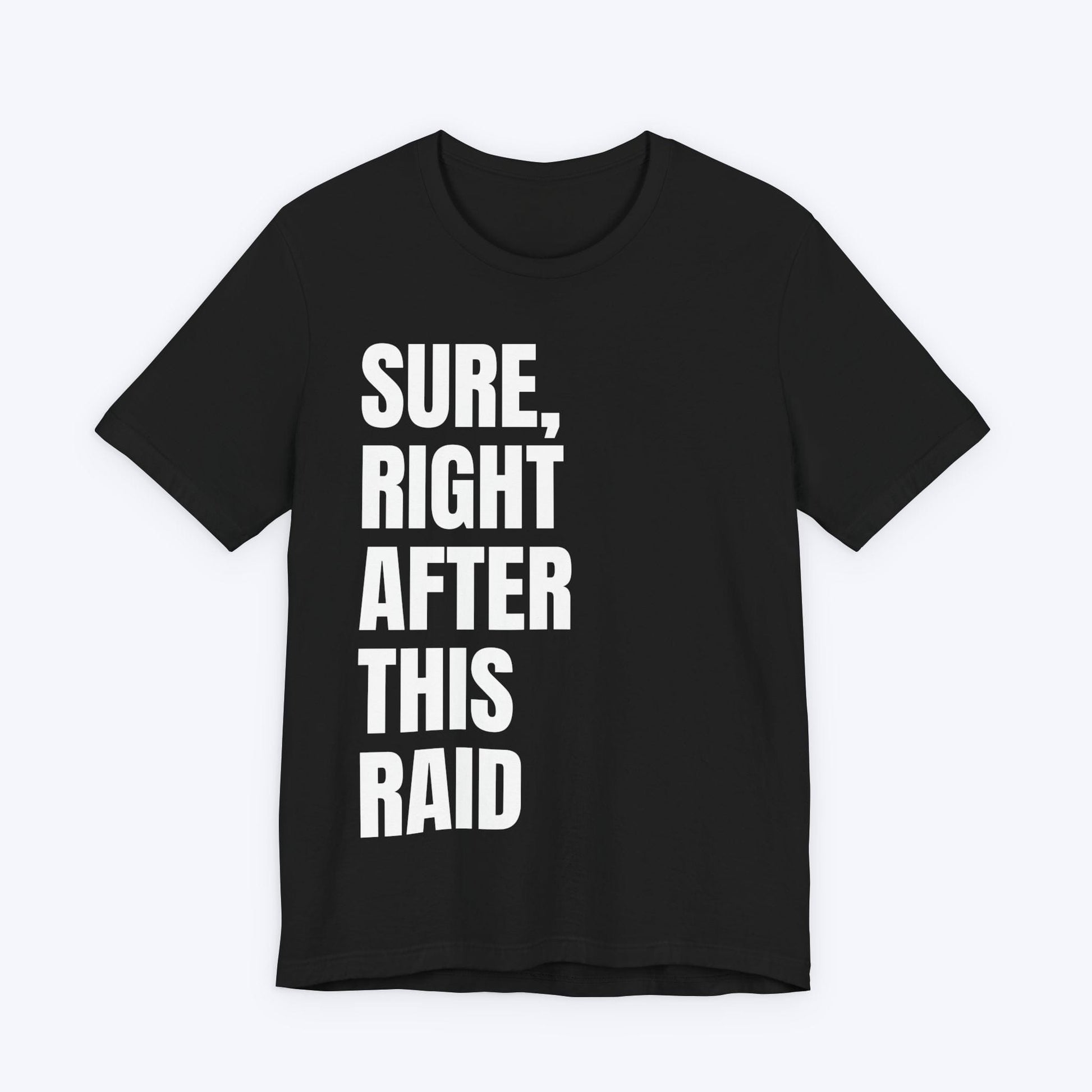 T-Shirt Black / S Right After This Raid T-shirt