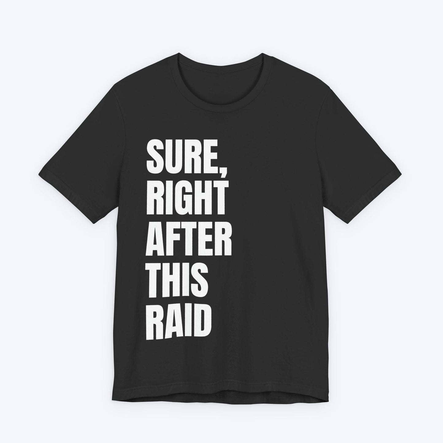 T-Shirt Dark Grey Heather / S Right After This Raid T-shirt