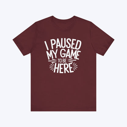 T-Shirt Maroon / S This Pause Cost Me XP T-shirt