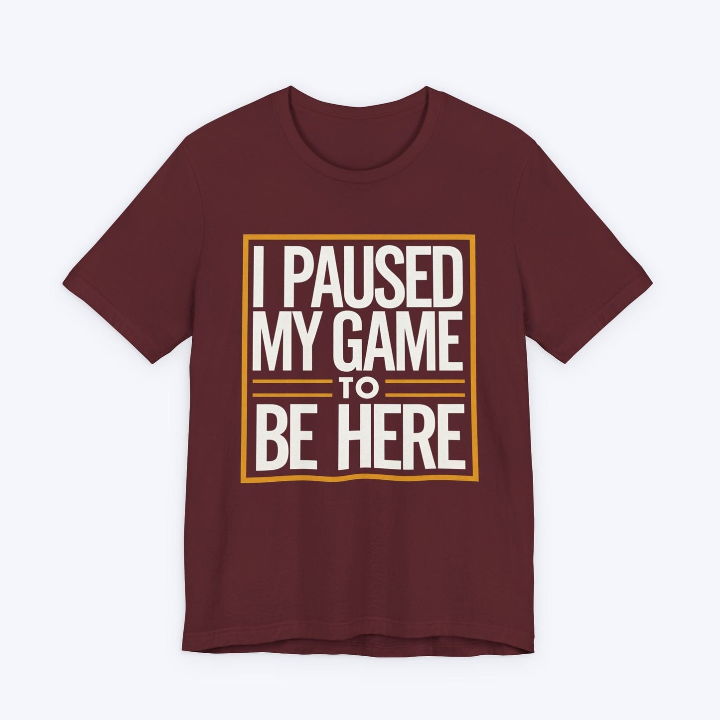 T-Shirt Paused My Fun for This Side Quest T-shirt