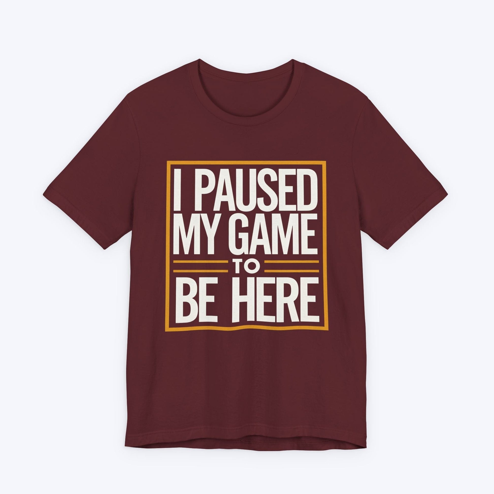 T-Shirt Paused My Fun for This Side Quest T-shirt